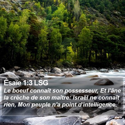 Ésaïe 1:3 LSG Bible Verse Image