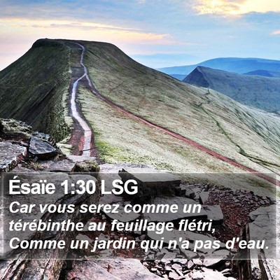 Ésaïe 1:30 LSG Bible Verse Image