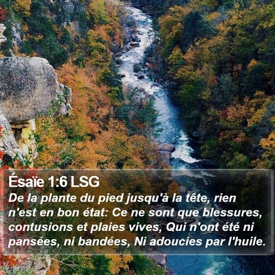 Ésaïe 1:6 LSG Bible Verse Image