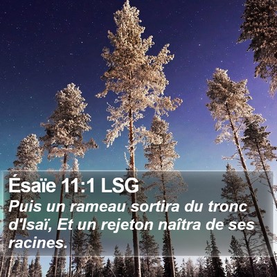 Ésaïe 11:1 LSG Bible Verse Image