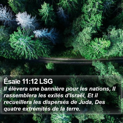Ésaïe 11:12 LSG Bible Verse Image
