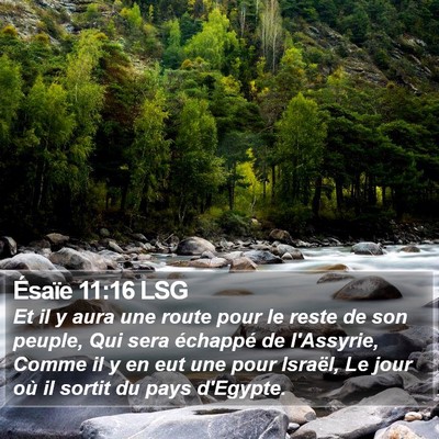 Ésaïe 11:16 LSG Bible Verse Image