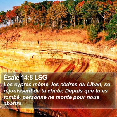 Ésaïe 14:8 LSG Bible Verse Image