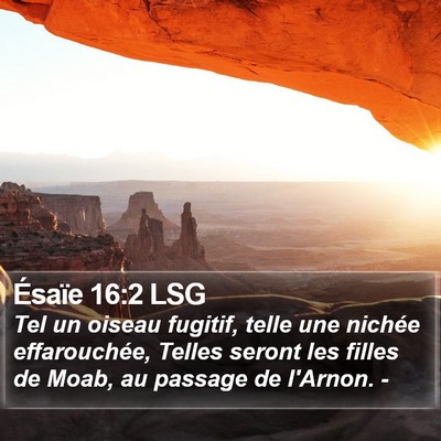 Ésaïe 16:2 LSG Bible Verse Image