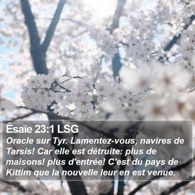 Ésaïe 23:1 LSG Bible Verse Image