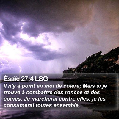Ésaïe 27:4 LSG Bible Verse Image