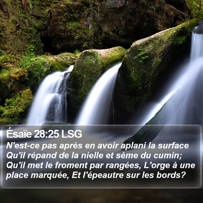 Ésaïe 28:25 LSG Bible Verse Image