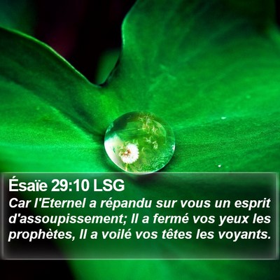 Ésaïe 29:10 LSG Bible Verse Image