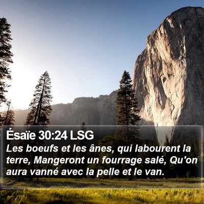 Ésaïe 30:24 LSG Bible Verse Image