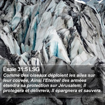 Ésaïe 31:5 LSG Bible Verse Image