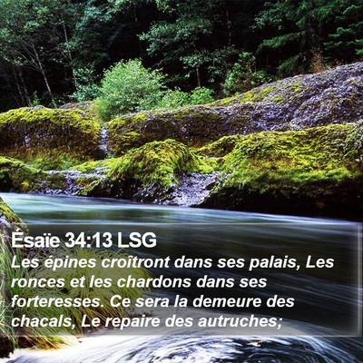 Ésaïe 34:13 LSG Bible Verse Image