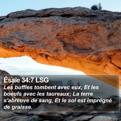 Ésaïe 34:7 LSG Bible Verse Image