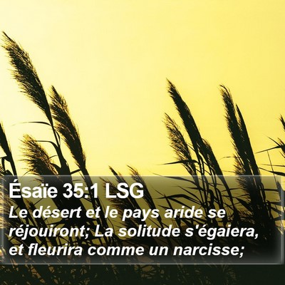 Ésaïe 35:1 LSG Bible Verse Image