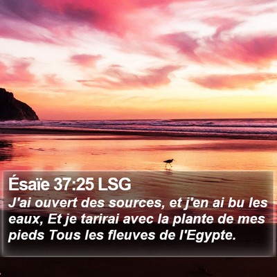 Ésaïe 37:25 LSG Bible Verse Image