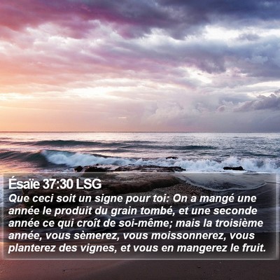 Ésaïe 37:30 LSG Bible Verse Image