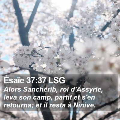 Ésaïe 37:37 LSG Bible Verse Image