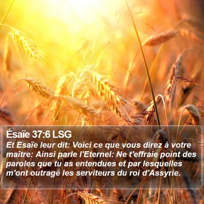 Ésaïe 37:6 LSG Bible Verse Image