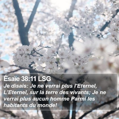 Ésaïe 38:11 LSG Bible Verse Image
