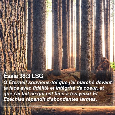 Ésaïe 38:3 LSG Bible Verse Image