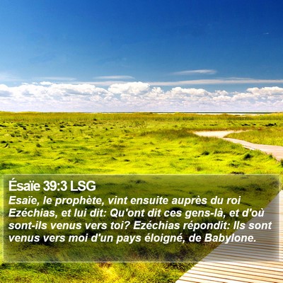 Ésaïe 39:3 LSG Bible Verse Image