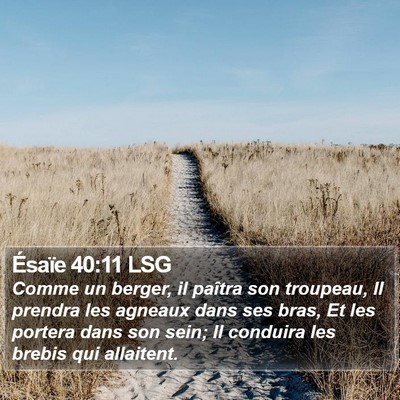 Ésaïe 40:11 LSG Bible Verse Image