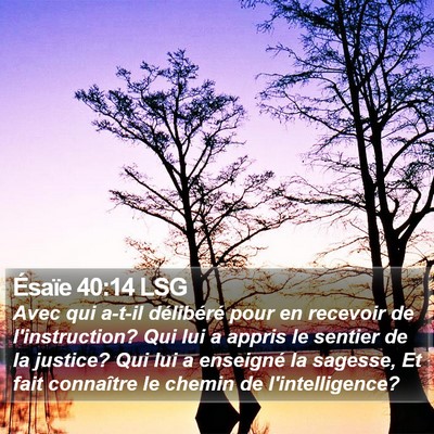 Ésaïe 40:14 LSG Bible Verse Image