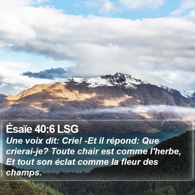 Ésaïe 40:6 LSG Bible Verse Image