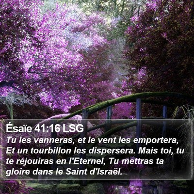 Ésaïe 41:16 LSG Bible Verse Image