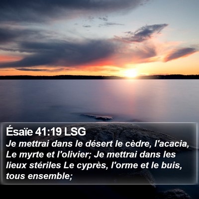 Ésaïe 41:19 LSG Bible Verse Image
