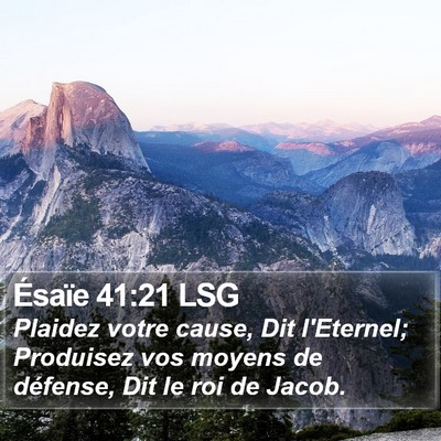 Ésaïe 41:21 LSG Bible Verse Image