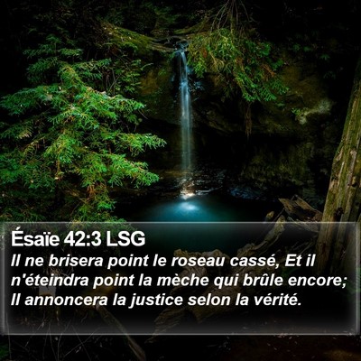 Ésaïe 42:3 LSG Bible Verse Image