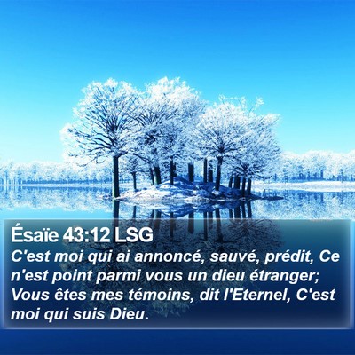 Ésaïe 43:12 LSG Bible Verse Image