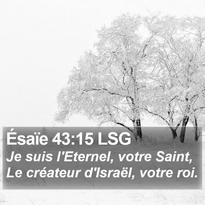 Ésaïe 43:15 LSG Bible Verse Image
