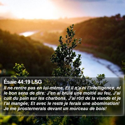 Ésaïe 44:19 LSG Bible Verse Image