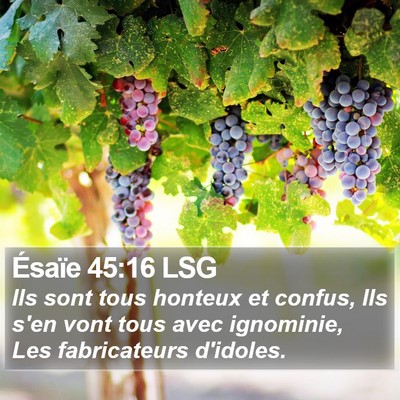 Ésaïe 45:16 LSG Bible Verse Image