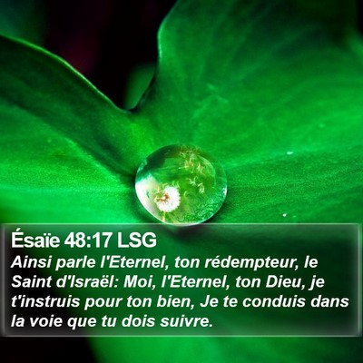 Ésaïe 48:17 LSG Bible Verse Image