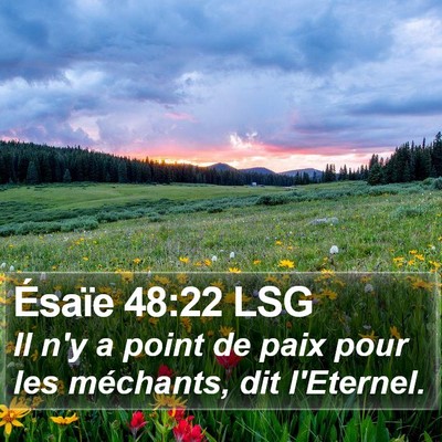 Ésaïe 48:22 LSG Bible Verse Image
