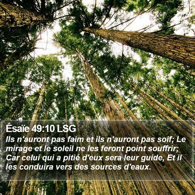 Ésaïe 49:10 LSG Bible Verse Image