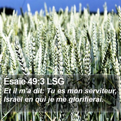 Ésaïe 49:3 LSG Bible Verse Image