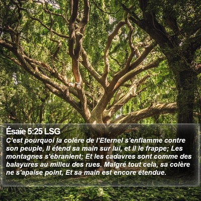 Ésaïe 5:25 LSG Bible Verse Image