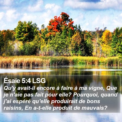 Ésaïe 5:4 LSG Bible Verse Image