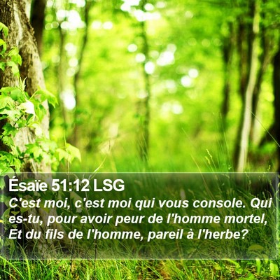 Ésaïe 51:12 LSG Bible Verse Image