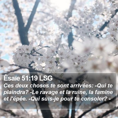 Ésaïe 51:19 LSG Bible Verse Image