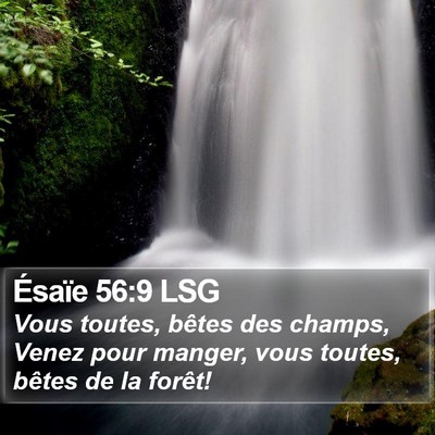 Ésaïe 56:9 LSG Bible Verse Image
