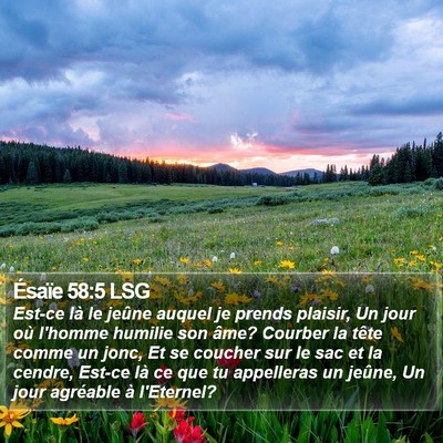 Ésaïe 58:5 LSG Bible Verse Image