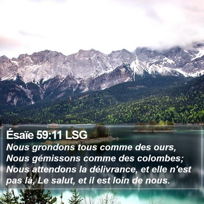 Ésaïe 59:11 LSG Bible Verse Image