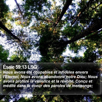 Ésaïe 59:13 LSG Bible Verse Image