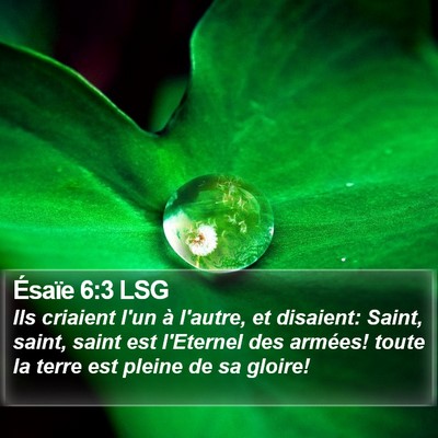 Ésaïe 6:3 LSG Bible Verse Image
