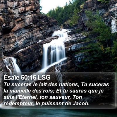 Ésaïe 60:16 LSG Bible Verse Image