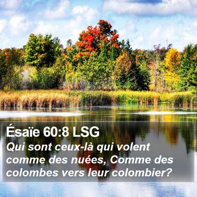 Ésaïe 60:8 LSG Bible Verse Image